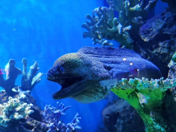 武汉东湖海洋世界一日游游记25