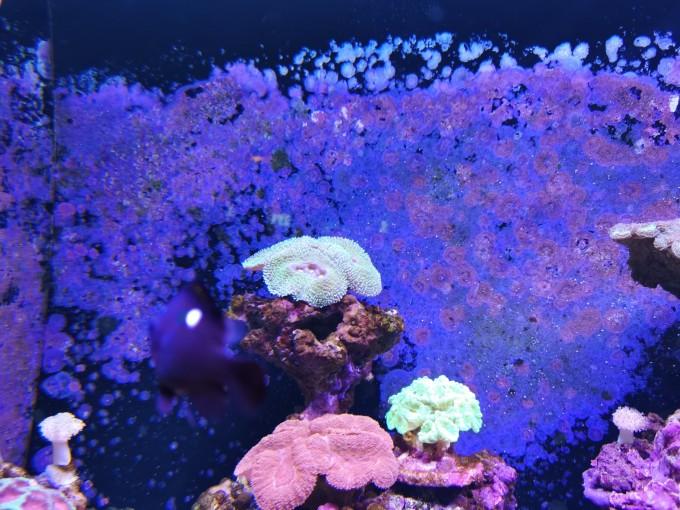 武汉东湖海洋世界一日游游记26