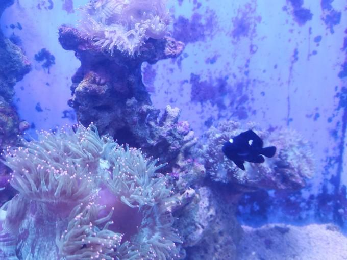 武汉东湖海洋世界一日游游记28