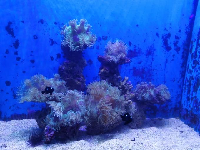 武汉东湖海洋世界一日游游记29