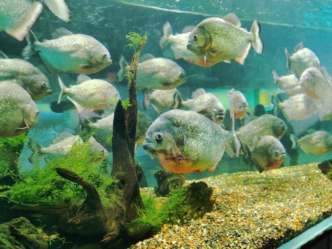 武汉东湖海洋世界一日游游记32