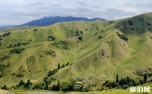 新疆那拉提草原旅游攻略 附注意事项1