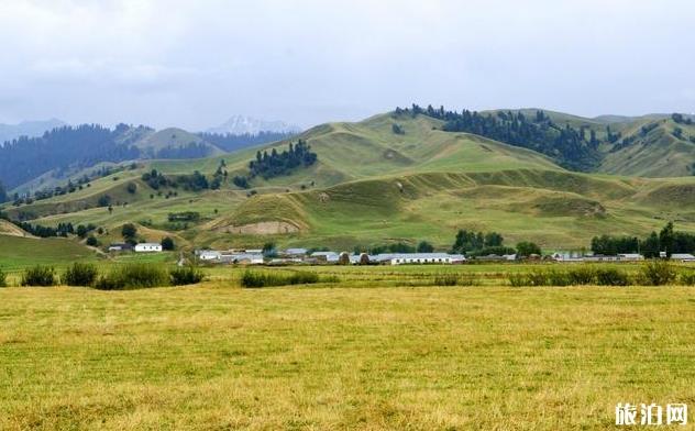 新疆那拉提草原旅游攻略 附注意事项2