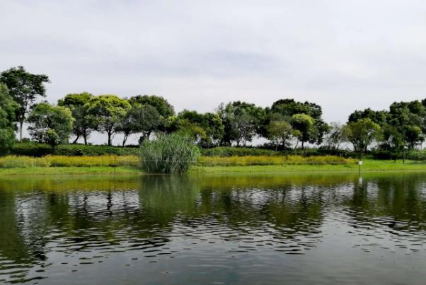 无锡哪里适合露营 露营地点推荐2