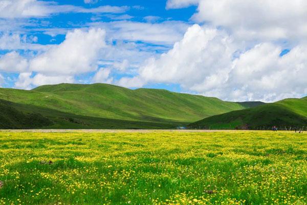 若尔盖大草原超全旅游攻略 附自助游路线3