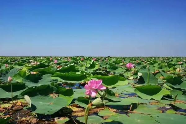 端午节武汉周边自驾游好去处推荐20222