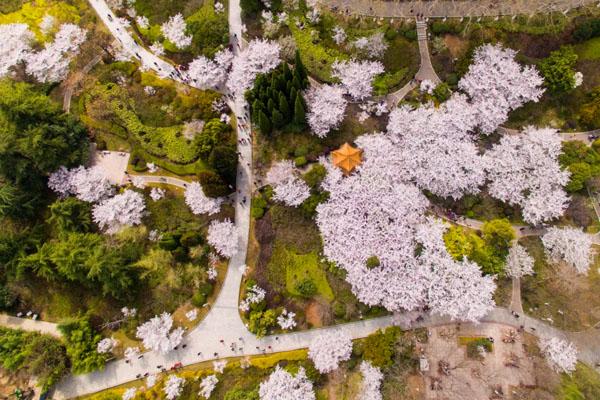 徐州彭祖园在哪里 地址及交通指南1