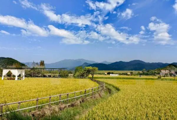 湖北露营地点推荐 最佳3