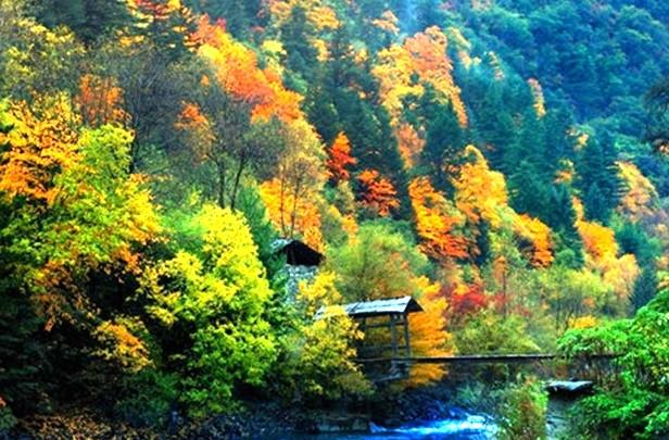 四川米亚罗自驾游线路推荐2