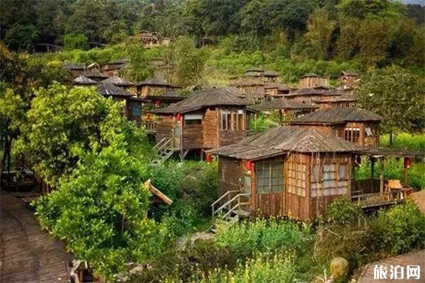 英德百鸟堂大草原能开车上去吗 附游玩攻略3