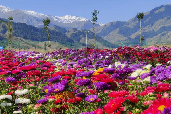 端午节新疆三日自驾游攻略20221