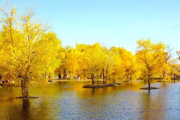 端午节新疆三日自驾游攻略20223