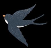 “云”赏花!踏春不出门,我们把春日浪漫送给你~3