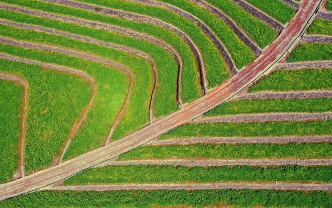 “云”赏花!踏春不出门,我们把春日浪漫送给你~7