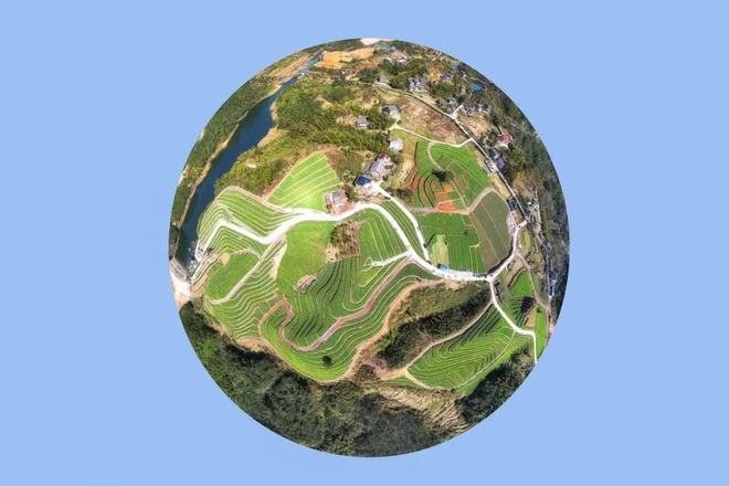 “云”赏花!踏春不出门,我们把春日浪漫送给你~8