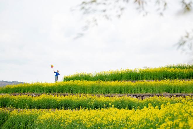“云”赏花!踏春不出门,我们把春日浪漫送给你~10