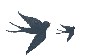 “云”赏花!踏春不出门,我们把春日浪漫送给你~11