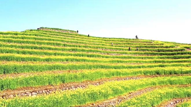 “云”赏花!踏春不出门,我们把春日浪漫送给你~12