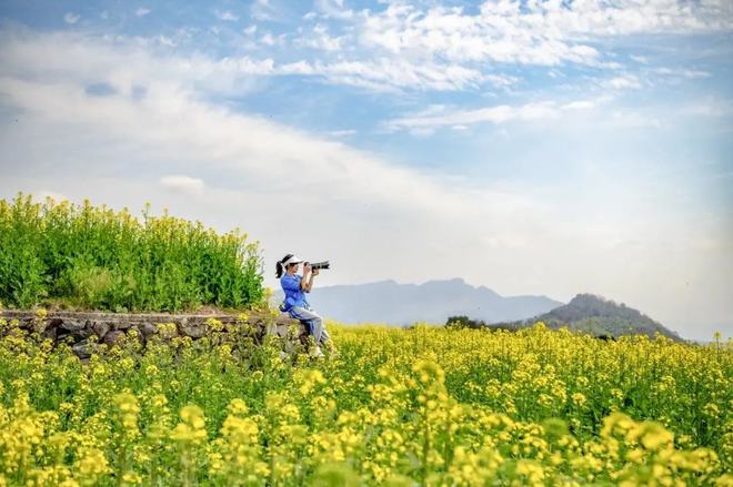“云”赏花!踏春不出门,我们把春日浪漫送给你~13