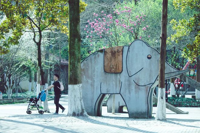 “云”赏花!踏春不出门,我们把春日浪漫送给你~15