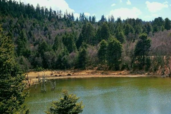 武汉小众露营景点推荐1