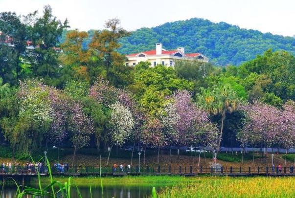 广州可以搭帐篷的公园 帐篷公园有哪些3