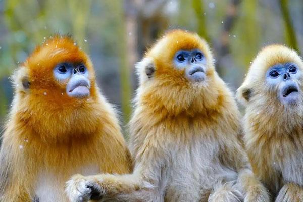 绵阳自驾游去哪里好玩3