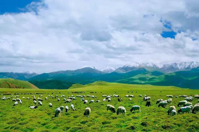 去新疆，看世界的风景13