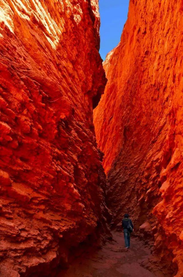 去新疆，看世界的风景14