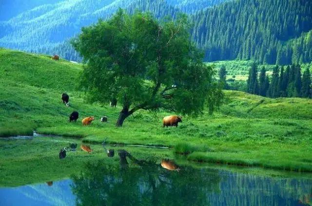 去新疆，看世界的风景18