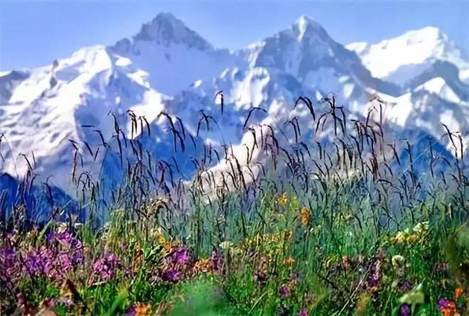 去新疆，看世界的风景20