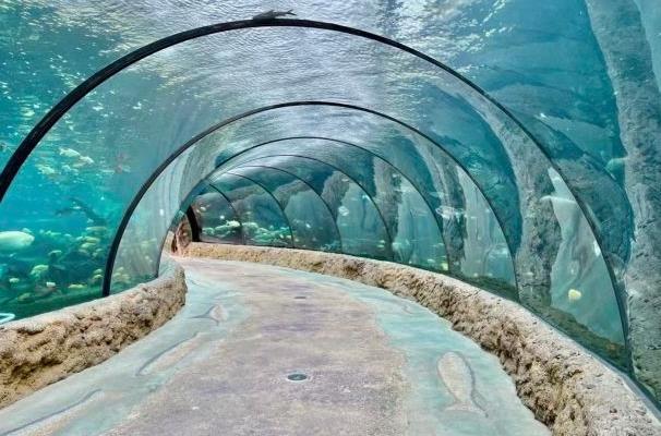 珠海长隆海洋王国亲子游攻略3