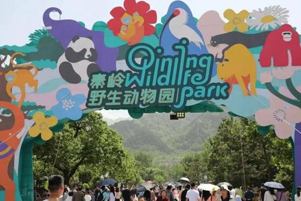 陕西端午节旅游最佳去处20222