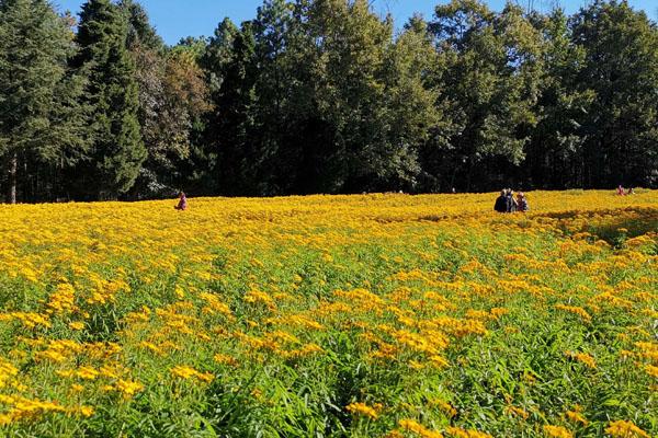 昆明周边最佳露营地点推荐3