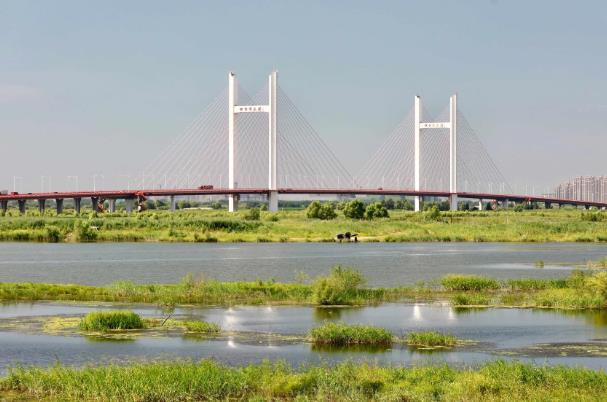 哈尔滨可以露营烧烤的地方2