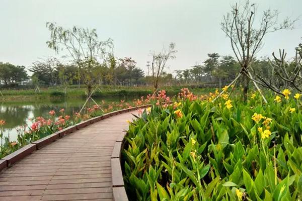 2022佛山端午露营野餐好去处3