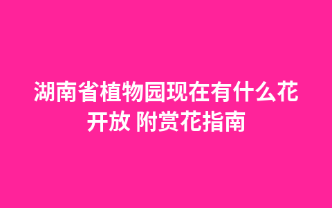 湖南省植物园现在有什么花开放 附赏花指南1