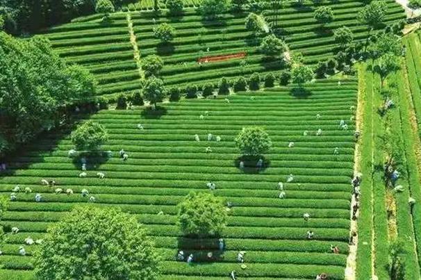 长沙周边自驾游有什么好玩的的地方3