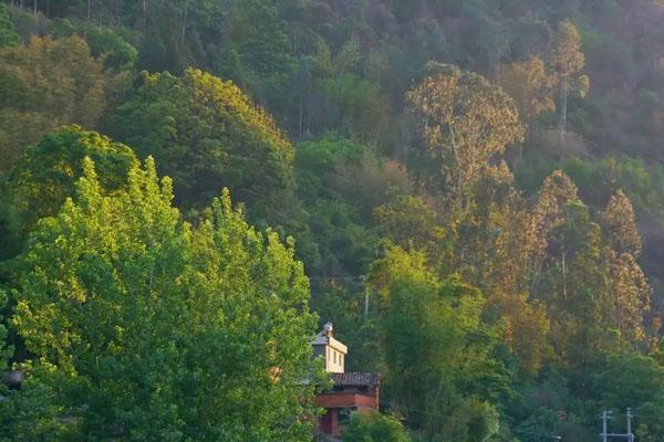 2022昆明周边短途一日游自驾景点3