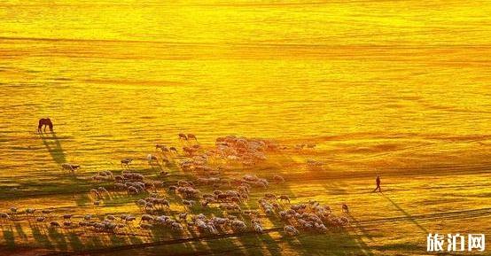 保定到张北草原自驾游攻略5