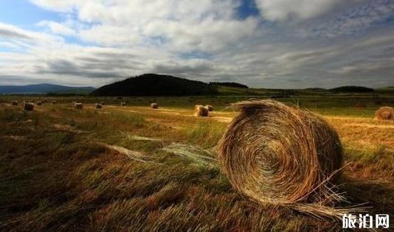 从北京去呼伦贝尔大草原旅游线路线推荐1