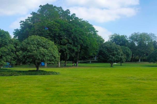 泰州露营地点推荐 露营的地方有哪些2