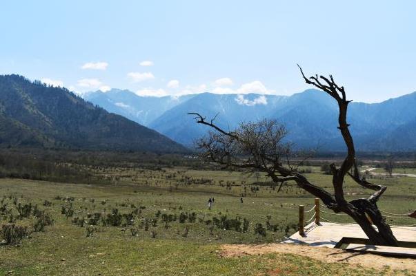 雅安露营的地方在哪里 露营地点推荐2