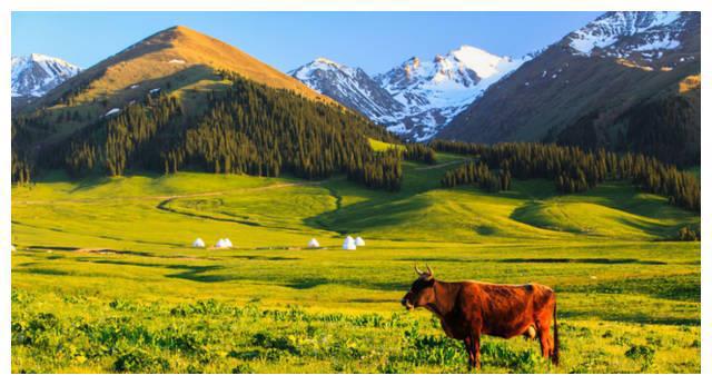 中国8大国家级公园,藏着世界级美景1