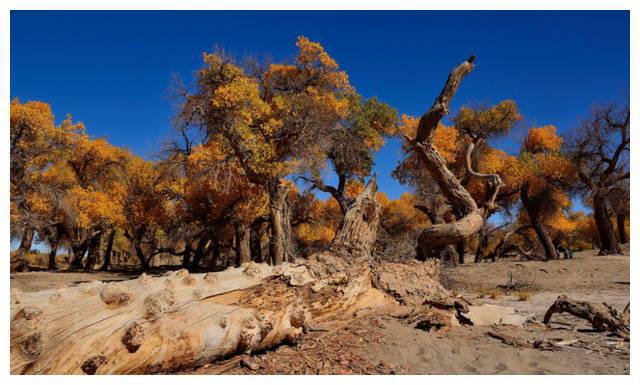中国8大国家级公园,藏着世界级美景6