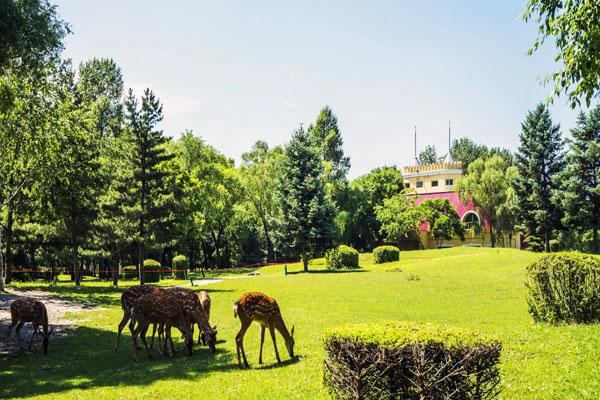 哈尔滨哪里可以露营过夜1