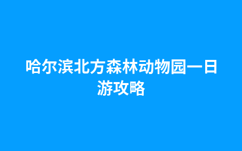 闻名天下的万里长城，块块方砖写满英雄史，面面城墙饱含沧桑泪1