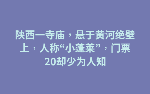 最近很火的露营歌、露营音乐推荐1
