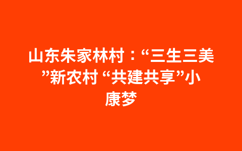 山东朱家林村:“三生三美”新农村 “共建共享”小康梦1