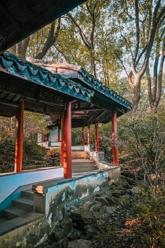 原创 无锡惠山古镇的中国杜鹃园,是以杜鹃花为主题的花园,造型独特3